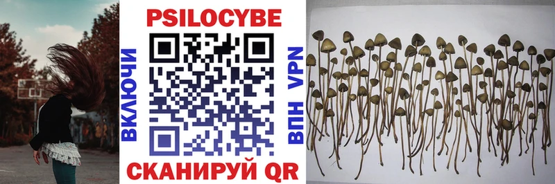 где можно купить наркотик  Ленск  Галлюциногенные грибы MAGIC MUSHROOMS 